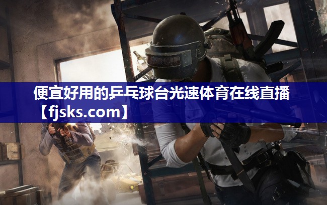 便宜好用的乒乓球台光速体育在线直播