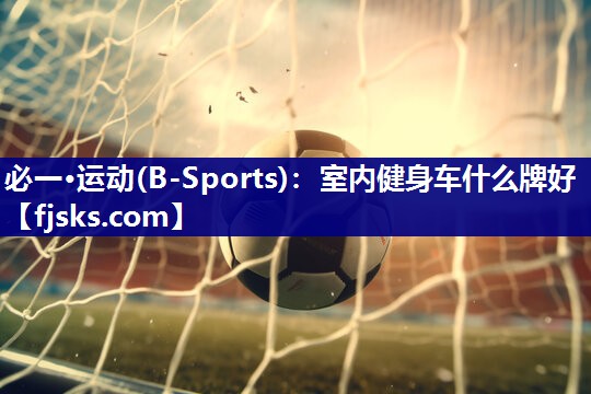 室内健身车什么牌好 室内健身车什么牌好